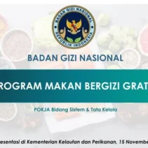 Badan Gizi Nasional Lakukan Penataan Ulang Program Makan Bergizi Gratis