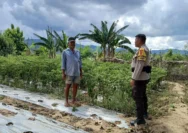 Bhabinkamtibmas Mendorong Masyarakat Kadur untuk Menggunakan Lahan dengan Produktif