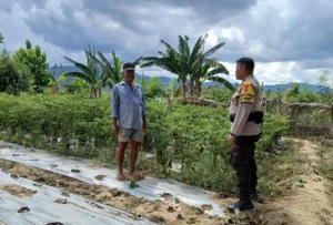 Bhabinkamtibmas Mendorong Masyarakat Kadur untuk Menggunakan Lahan dengan Produktif