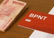 BPNT Rp600 Ribu dan PKH Cair, Cek Bansos Kemensos Go Id Sekarang!