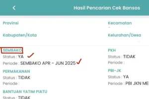 Cek Bansos Kemensos Go Id BPNT 2026, Apakah Nama Anda Masuk Penerima atau Tidak?