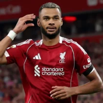 Cody Gakpo: Bintang Belanda di Piala Dunia dan Masa Depan di Liverpool
