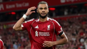 Cody Gakpo: Bintang Belanda di Piala Dunia dan Masa Depan di Liverpool