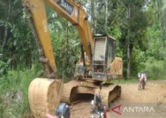 Ekskavator Tambang Diduga Ilegal Menjamur di Aek Nabara, APH dan Pemkab Madina Didesak Selidiki Dugaan Keterlibatan Oknum Kades