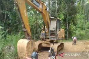 Ekskavator Tambang Diduga Ilegal Menjamur di Aek Nabara, APH dan Pemkab Madina Didesak Selidiki Dugaan Keterlibatan Oknum Kades