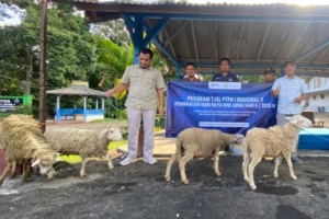 Holding Perkebunan Nusantara Salurkan 101 Hewan Kurban melalui PTPN I Regional 5 untuk Masyarakat Jawa Timur