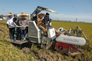 Jawa Tengah Raih Capaian Produksi Padi 6,69 Juta Ton, Ahmad Luthfi Rancang Strategi Antisipasi Kemarau