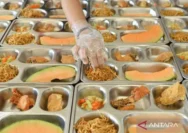 Moratorium Program MBG Diminta: Celios dan Guntur Romli Soroti Potensi Korupsi