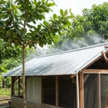 Perizinan Kandang Ayam Seng Guan di Desa Bantan Sergai Dipertanyakan
