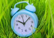 Alarm Musim Panas Eropa dan Cetak Biru Ketahanan Kita: Apa yang Terjadi dan Bagaimana Membasmi Hoaks