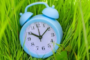 Alarm Musim Panas Eropa dan Cetak Biru Ketahanan Kita: Apa yang Terjadi dan Bagaimana Membasmi Hoaks