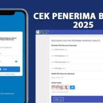 Cara Mudah Cek Status Penerima BPNT Melalui Cek Bansos Kemensos Go Id