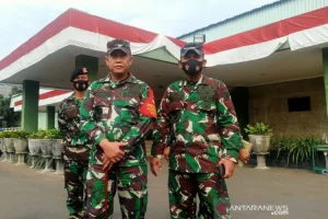 Dandim Labuhanbatu: Tak Ada Personel TNI Terlibat dalam Dugaan Pencurian 16 Ekor Lembu