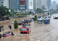 DFSK E5 Plus Banjir Peminat, Ratusan Unit Terpesan di Hari Pertama Pre-Booking: Fenomena Baru di Industri Otomotif