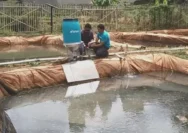 Diselidiki Pemerintah Malaysia, Begini Modus Eks CEO eFishery Manipulasi Data