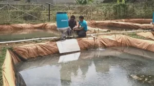 Diselidiki Pemerintah Malaysia, Begini Modus Eks CEO eFishery Manipulasi Data