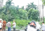 Misteri Kematian Dokter Residen Anestesi di Siak: Jasad Ditemukan di Semak-semak
