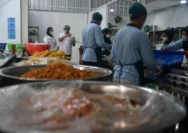 Perubahan Skema Insentif BGN: Dari Gaji Harian Rp 6 Juta Menuju Merger Dapur