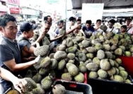 Tsunami Durian: Pedagang Singapura Meriahkan Pasar dengan Promo Gratis!