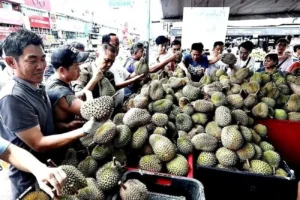 Tsunami Durian: Pedagang Singapura Meriahkan Pasar dengan Promo Gratis!