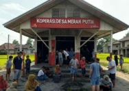 Viral Penampakan Koperasi Desa Merah Putih yang Dibangun di Tengah Hutan: Camat Sebut Lokasi Strategis