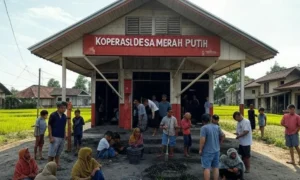 Viral Penampakan Koperasi Desa Merah Putih yang Dibangun di Tengah Hutan: Camat Sebut Lokasi Strategis