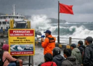 Waspadai Gelombang Tinggi: Ancaman di Perairan Selat Bali dan DIY