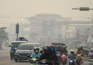 Di Tengah Kabut Asap, Razia Pajak Bapenda Kalteng Menuai Protes Netizen