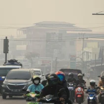 Di Tengah Kabut Asap, Razia Pajak Bapenda Kalteng Menuai Protes Netizen