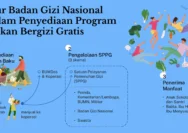 Evaluasi MBG: Moratorium Dapur Hingga Insentif Disetop, Makan Bergizi Gratis Jalan Terus?