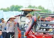 Jenderal Polisi Bawa Harapan Baru untuk Swasembada Bawang Putih di Indonesia