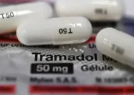 KDM Janjikan Hadiah untuk Warga yang Laporkan Peredaran Tramadol dan Ambil Alih Penyelenggaraan MTQ 2027