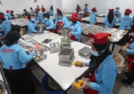 Keracunan Massal di Karo: BGN Ungkap Penyebab Insiden MBG di Sumut, Ikan Tidak Disimpan di Freezer