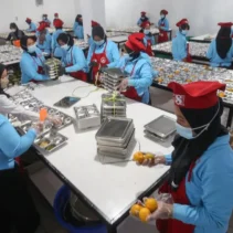 Keracunan Massal di Karo: BGN Ungkap Penyebab Insiden MBG di Sumut, Ikan Tidak Disimpan di Freezer
