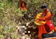 Mbah Bajiyo Hilang di Gunungkidul, Tim SAR Berjuang Temukan Korban