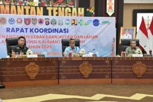 Puan Soroti Protes Singapura-Malaysia Terkait Karhutla Kalimantan, Mendesak Penanganan Segera