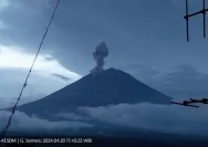 Meletus 4 Kali dalam 3 Jam Gunung Semeru Masih Berada di Level Waspada, Kolom Abu Capai 900 Meter