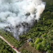 Kebakaran Hari Ini: Bakar Sampah Picu Karhutla, 5 Hektare Lahan Gambut di Lamandau Hangus